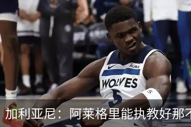 加利亚尼：阿莱格里能执教好那不勒斯，他会根据队内球员制定战术