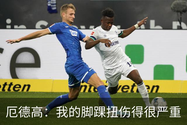 厄德高：我的脚踝扭伤得很严重